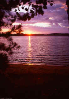 1985-06_JL_Blilie_Family_220.jpg (1406857 bytes)