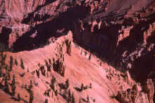 1985-08_JL_Blilie_Family_241_Utah.jpg (2128431 bytes)