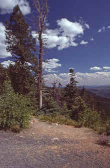 1985-09_JL_Blilie_Family_262_Utah.jpg (2100406 bytes)