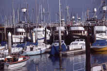 1986-03_JL_Blilie_Family_297_Santa_Barbara.jpg (1864034 bytes)