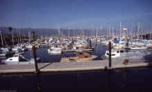 1986-03_JL_Blilie_Family_300_Santa_Barbara.jpg (1422740 bytes)