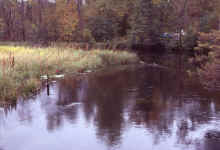 1986-09_JL_Blilie_Family_312_Mitchell_Lk.jpg (2109255 bytes)