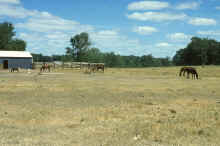 1988-06_JL_Blilie_Family_396.jpg (2286077 bytes)