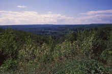 1991-07_JL_Blilie_Family_532_NShore.jpg (2147657 bytes)