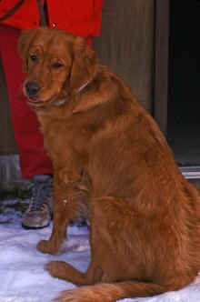 1994-01_JL_Blilie_Family_583.jpg (1397746 bytes)