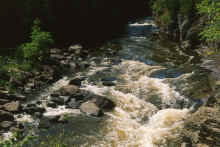 1994-08_JL_Blilie_Family_600_NShore.jpg (1876454 bytes)