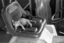 1994_Kirsten_Shelley_Julie_Blilie_266.jpg (2916461 bytes)