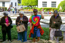 20090614_untitled_IMGP5160.jpg (4596321 bytes)