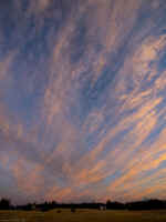 P7271441.jpg (162561 bytes)