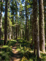 P7290115.jpg (881102 bytes)