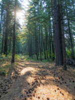 P8020214.jpg (799913 bytes)