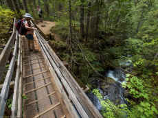 P8050508.jpg (660103 bytes)