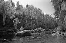 1982-09 BWCA Kent and Peggy 293.jpg (2818282 bytes)