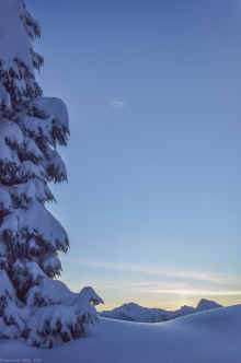 1988-11_Garibaldi_PPark_012.jpg (3990200 bytes)