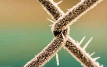 IMGP8981.jpg (7547699 bytes)