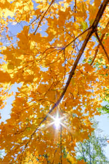 P1000131.jpg (6774776 bytes)