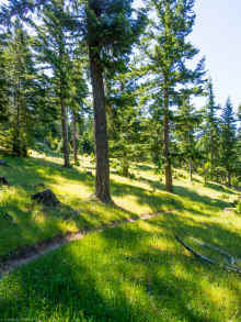 P6280202.jpg (18528472 bytes)