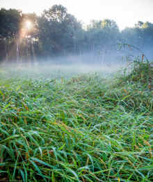 P7270907.jpg (11297867 bytes)