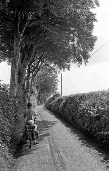 1992-06_WT_Devon+Cornwall_793.jpg (3242162 bytes)