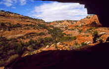 2001-04 Utah Trip 031 Canyon on Cedar Mesa.jpg (526597 bytes)