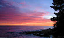 20021225_untitled_IMG_0561.jpg (952991 bytes)