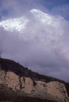 20090814_untitled_WT 186-14 Niligiri North.jpg (586819 bytes)