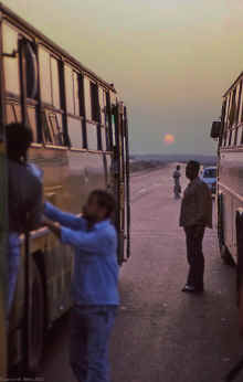 20091221_untitled_WT 1600 235-33 Egypt.jpg (763747 bytes)