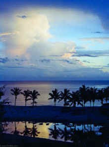 20100306_untitled_WT 0579 Malaysia.jpg (3806326 bytes)