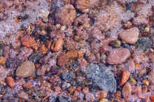 IMGP6207.jpg (835205 bytes)