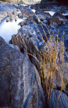 MN Nov-1990 4.jpg (960381 bytes)