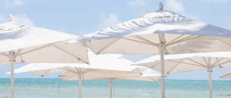 P4061308.jpg (2391538 bytes)