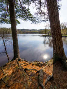 P4230266.jpg (1055343 bytes)