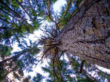 P6250033.jpg (1281262 bytes)