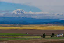 P6270114.jpg (350854 bytes)