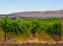 P6270134.jpg (502343 bytes)