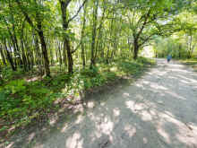 P8290820.jpg (812721 bytes)