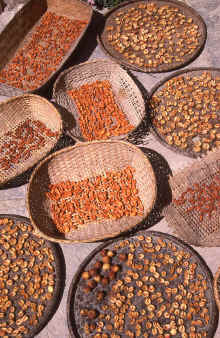 WT 1000 188-02 Nepal.jpg (1223410 bytes)