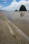 Canon Beach.JPG (253025 bytes)