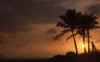 WT T08-05 Hawaii Sunset.jpg (57522 bytes)