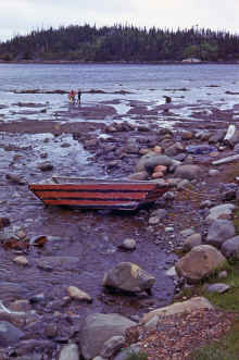 1968-06_JL_Blilie_Family_492_Newfoundland_Trip.jpg (2373726 bytes)