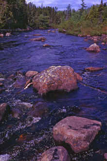 1968-06_JL_Blilie_Family_502_Newfoundland_Trip.jpg (2829641 bytes)