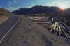 1990-06 Mt St Helens NM.jpg (347254 bytes)