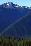 1990-07_Hurricane_Ridge_2.jpg (204889 bytes)