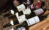 1995-07 White Salmon Jeanne and Steves Cabin 05 Aftermath.jpg (210241 bytes)