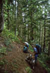 1996-09 Goat Rocks BkPk w Jeanne Steve 01.jpg (319332 bytes)
