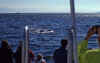 1998-07 Orcas Island 26 Whale Watching.jpg (153464 bytes)