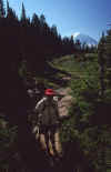 1998-07 Tolmie Pk Mt Rainier NP 08.jpg (145206 bytes)