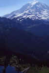 1998-07 Tolmie Pk Mt Rainier NP 10.jpg (118503 bytes)
