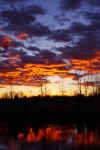 Sunset_06.JPG (167930 bytes)