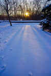 Snow_2011-03-26_-13.jpg (435968 bytes)
